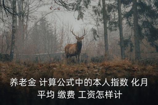 指數(shù)化月平均繳費(fèi)工資如何計(jì)算,養(yǎng)老金計(jì)算器2023