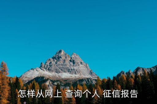 征信查詢(xún)