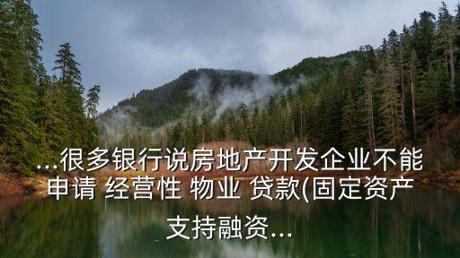 ...很多銀行說(shuō)房地產(chǎn)開(kāi)發(fā)企業(yè)不能申請(qǐng) 經(jīng)營(yíng)性 物業(yè) 貸款(固定資產(chǎn)支持融資...