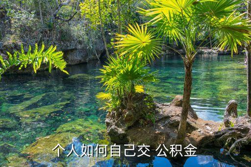 個人如何自己交 公積金