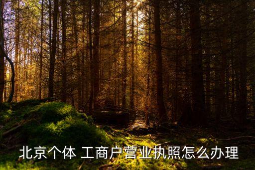  北京個體 工商戶營業(yè)執(zhí)照怎么辦理