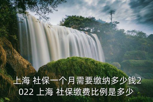  上海 社保一個月需要繳納多少錢2022 上海 社保繳費比例是多少