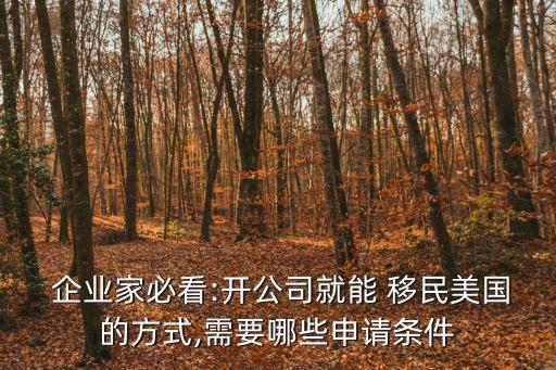  企業(yè)家必看:開(kāi)公司就能 移民美國(guó)的方式,需要哪些申請(qǐng)條件