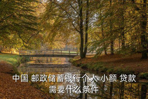 中國 郵政儲蓄銀行個人 小額 貸款需要什么條件