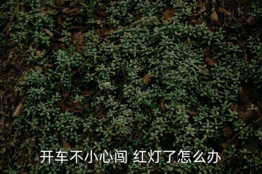 闖紅燈怎么辦,前方大車擋住視線闖紅燈怎么辦