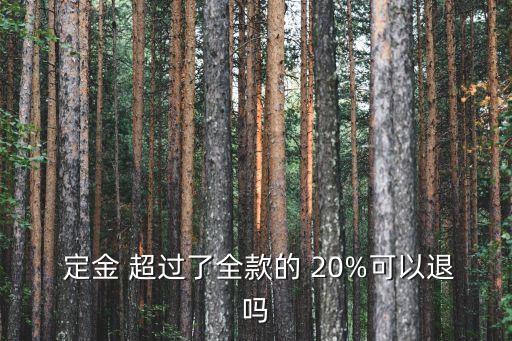  定金 超過(guò)了全款的 20%可以退嗎