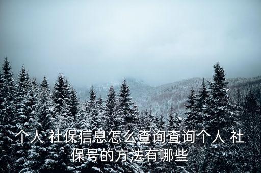 個人 社保信息怎么查詢查詢個人 社保號的方法有哪些