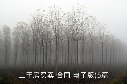 二手房買賣 合同 電子版(5篇