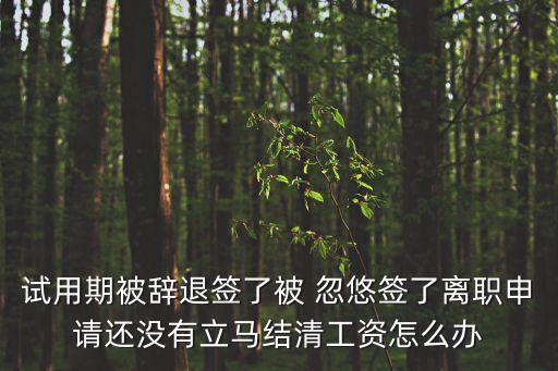 試用期被辭退簽了被 忽悠簽了離職申請(qǐng)還沒(méi)有立馬結(jié)清工資怎么辦