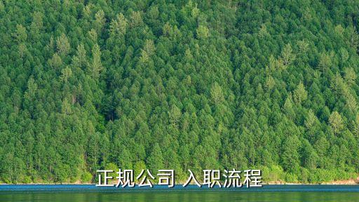 正規(guī)公司 入職流程