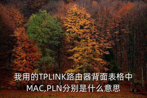 pln什么意思,手機(jī)pin碼是什么