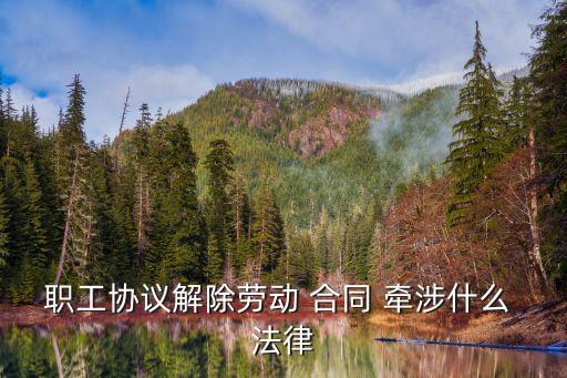 合同牽涉的法律依據(jù)有哪些,合同變更的法律依據(jù)有哪些