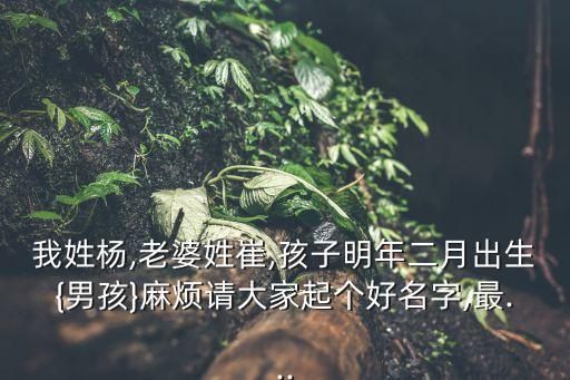 我姓楊,老婆姓崔,孩子明年二月出生{男孩}麻煩請(qǐng)大家起個(gè)好名字,最...