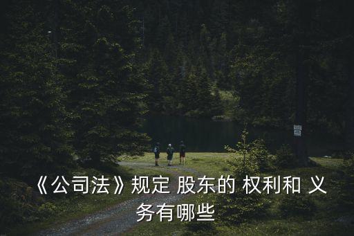 《公司法》規(guī)定 股東的 權(quán)利和 義務(wù)有哪些