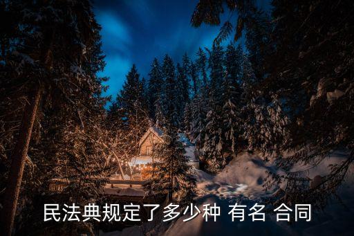 有名合同,民法典合同編規(guī)定了幾種有名合同
