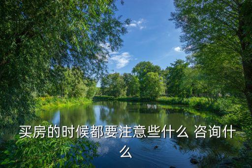  買房的時候都要注意些什么 咨詢什么