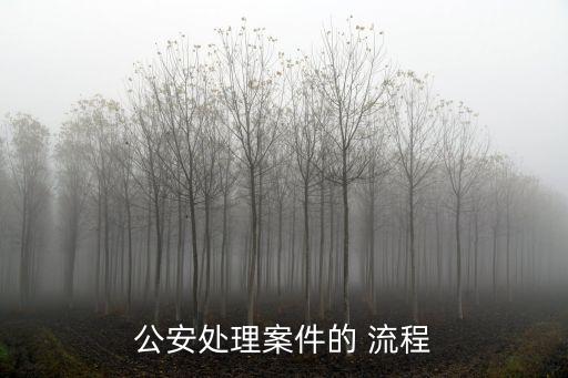 辦案流程,檢察院刑事案件辦案流程