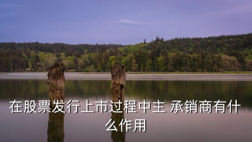 在股票發(fā)行上市過程中主 承銷商有什么作用