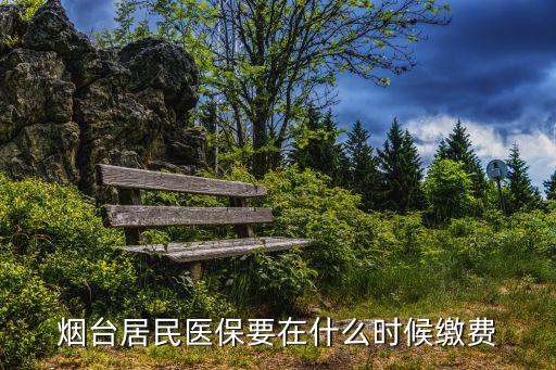 煙臺(tái)居民醫(yī)保要在什么時(shí)候繳費(fèi)