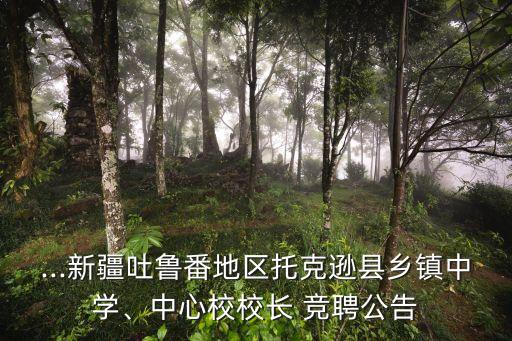 ...新疆吐魯番地區(qū)托克遜縣鄉(xiāng)鎮(zhèn)中學、中心校校長 競聘公告