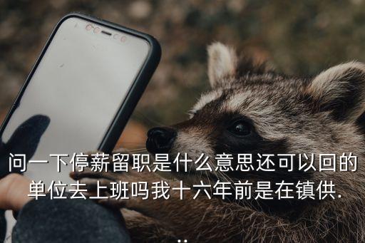 問一下停薪留職是什么意思還可以回的 單位去上班嗎我十六年前是在鎮(zhèn)供...