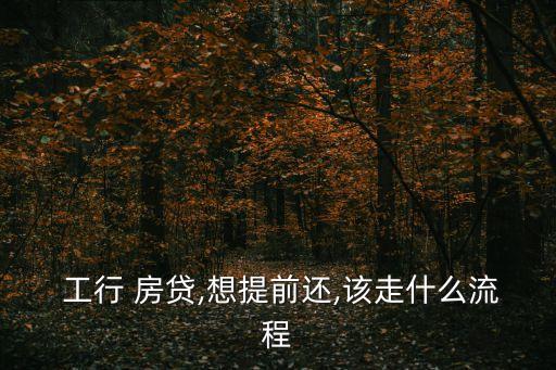 工行 房貸,想提前還,該走什么流程