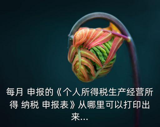每月 申報(bào)的《個(gè)人所得稅生產(chǎn)經(jīng)營所得 納稅 申報(bào)表》從哪里可以打印出來...