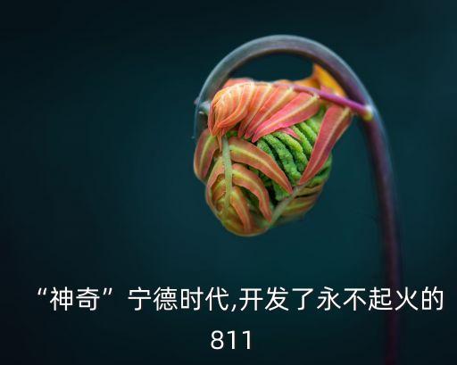 “神奇”寧德時(shí)代,開發(fā)了永不起火的 811
