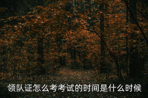 領(lǐng)隊(duì)證報(bào)考條件,導(dǎo)游證2023年考試時(shí)間