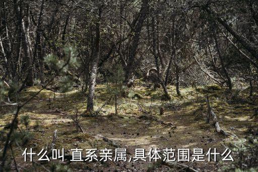 直系親屬關(guān)系