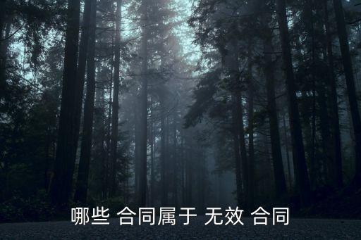 哪些 合同屬于 無效 合同