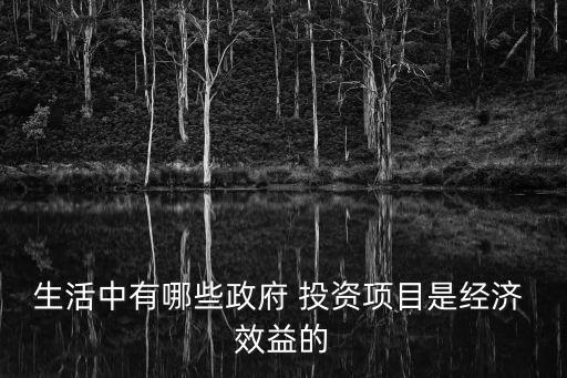 生活中有哪些政府 投資項(xiàng)目是經(jīng)濟(jì) 效益的