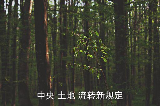 中央 土地 流轉(zhuǎn)新規(guī)定