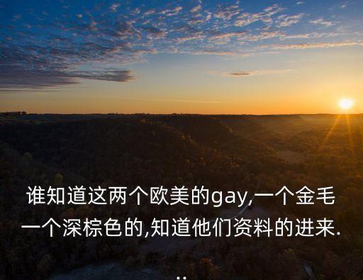 黃色男同性戀