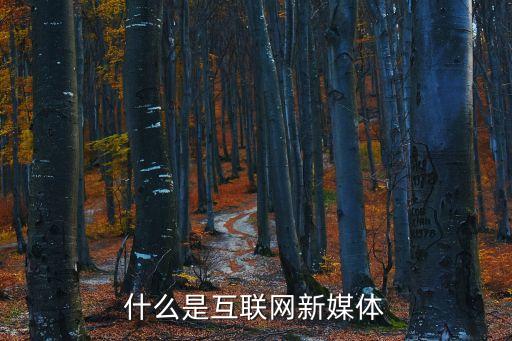什么是互聯(lián)網(wǎng)新媒體
