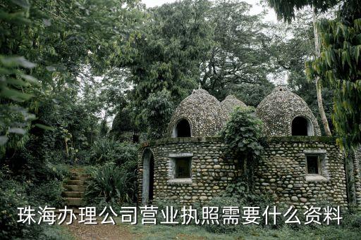 珠海辦理公司營業(yè)執(zhí)照需要什么資料