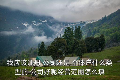 我應(yīng)該注冊 公司還是 個體戶什么類型的 公司好呢經(jīng)營范圍怎么填