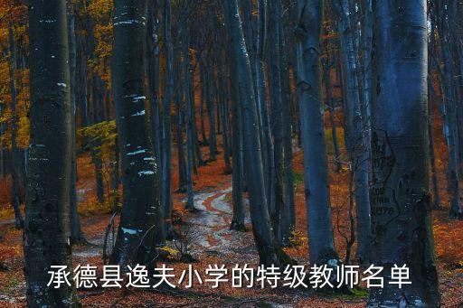承德縣逸夫小學(xué)的特級(jí)教師名單
