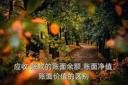  應(yīng)收 賬款的賬面余額,賬面凈值、賬面價(jià)值的區(qū)別