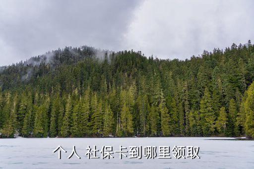 個人 社保卡到哪里領取