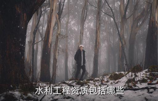 水利工程建設(shè)項目招標(biāo)投標(biāo)管理規(guī)定