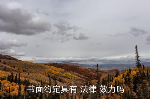書面協(xié)議的法律效力,夫妻之間的書面協(xié)議有法律效力嗎?