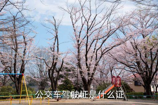  公交車駕駛證是什么證