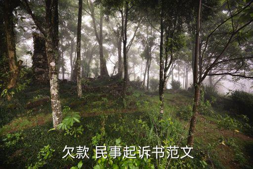  欠款 民事起訴書(shū)范文
