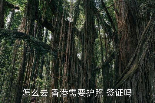 怎么去 香港需要護照 簽證嗎