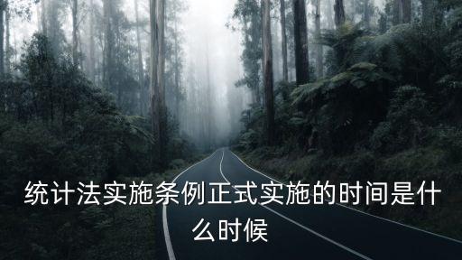  統(tǒng)計(jì)法實(shí)施條例正式實(shí)施的時(shí)間是什么時(shí)候