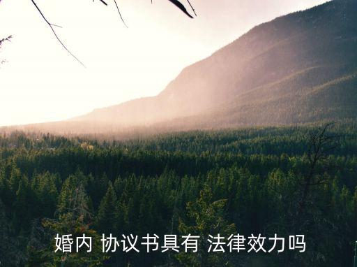 夫妻婚內(nèi)的協(xié)議有法律意義嗎