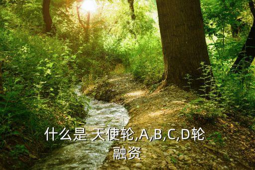 天使輪融資