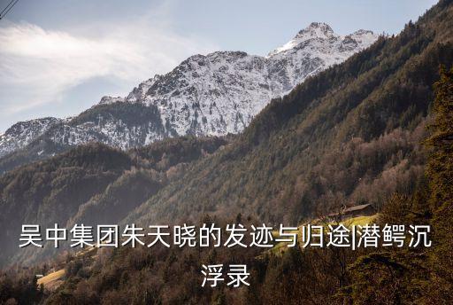 吳中集團朱天曉的發(fā)跡與歸途|潛鱷沉浮錄