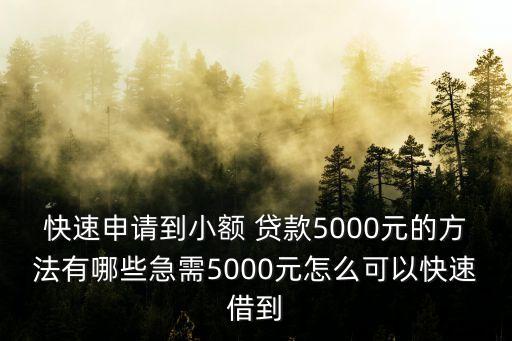 快速申請到小額 貸款5000元的方法有哪些急需5000元怎么可以快速借到